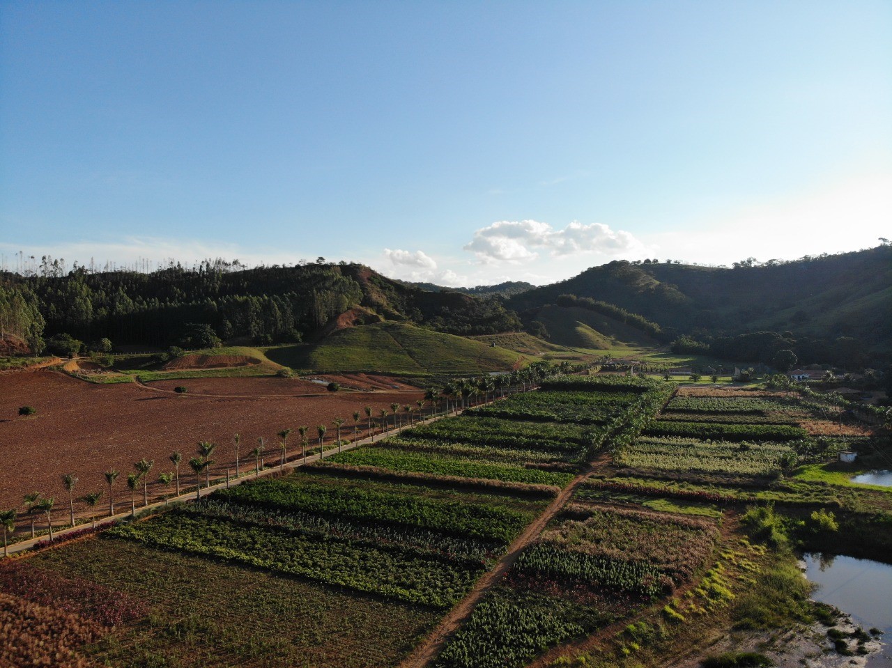 Fazenda 1