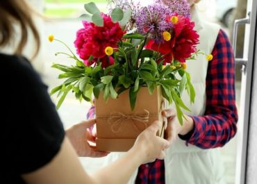 Planta para dar de presente